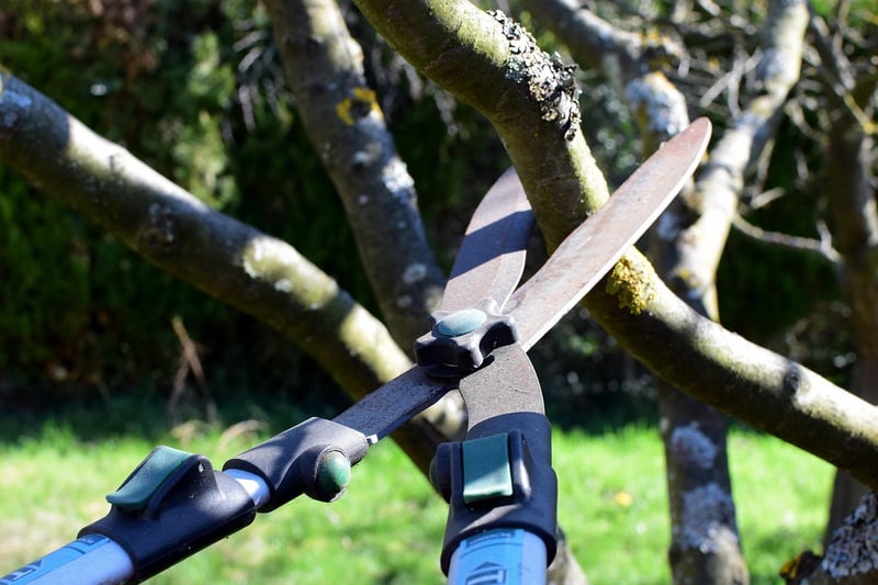 Pruning Pointers