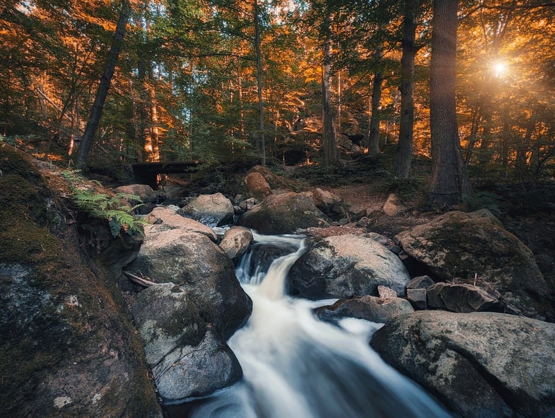 Stream Serenity