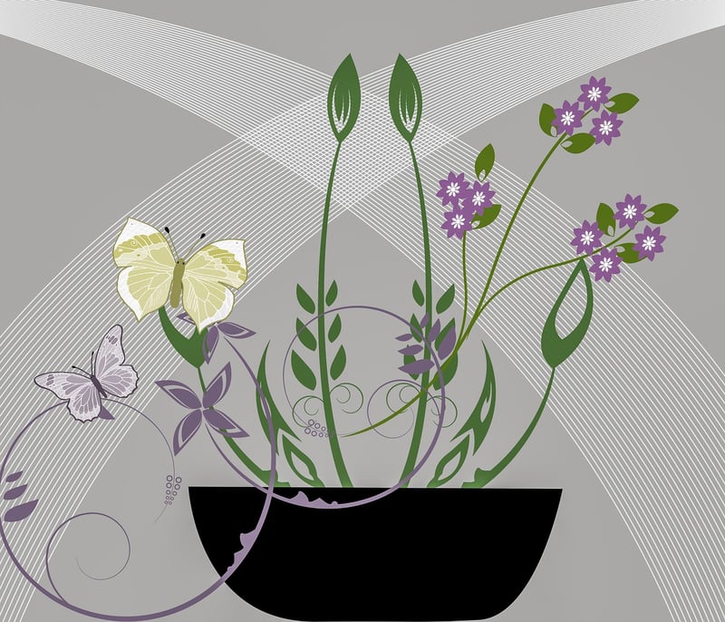 Succulent Arrangement