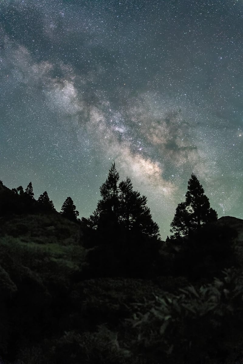Milky Way Flower